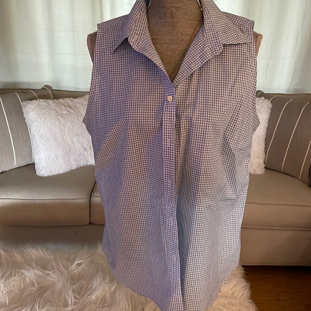Ralph Lauren sleeveless blue and white checkered blouse.